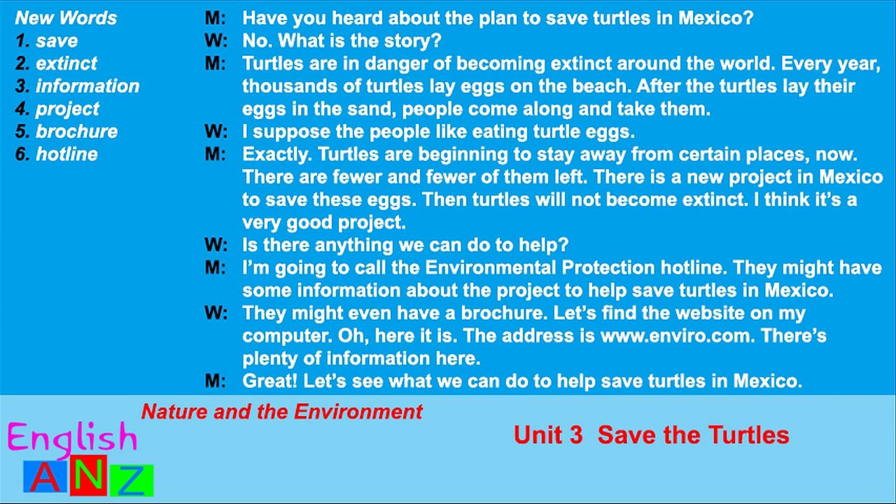 Unit 3 - Save The Turtles - Listening Practice Through Dictation 2
