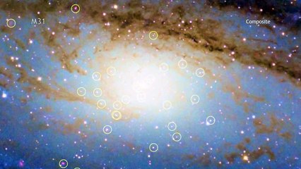 Video herunterladen: Nearby Andromeda Galaxy is Full of Black Holes | NASA Chandra Space Science HD