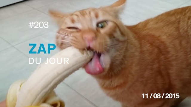 ZAP DU JOUR #203 : Simpsons PIXELS / Fair play ou pas ? / Quand tonton utilise un segway... / Minions Way To Die /