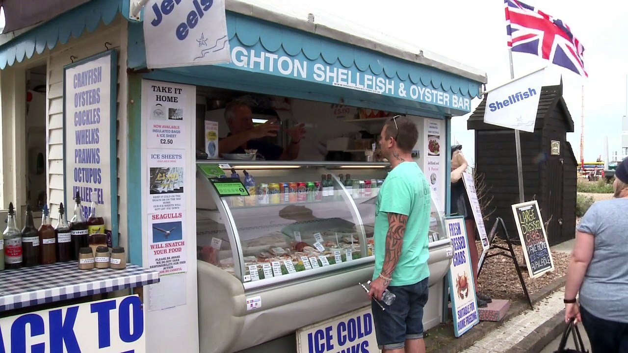 Räuberische Möwen terrorisieren Urlauber in England