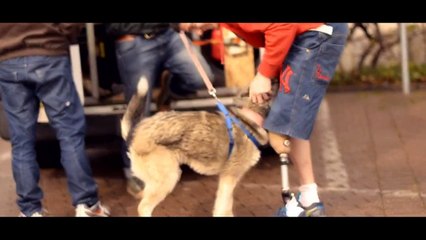 Retrouvailles de Jack & Blue, quelques extraits de la prochaine vidéo