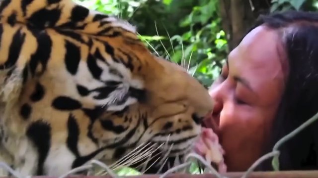 Любовь не знает границ