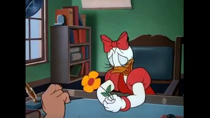 DONALD DUCK: Donald s Dilemma (1947).mp4