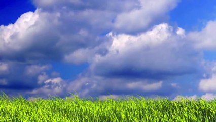 Free Your Mind - A Guided Meditation on Letting Go