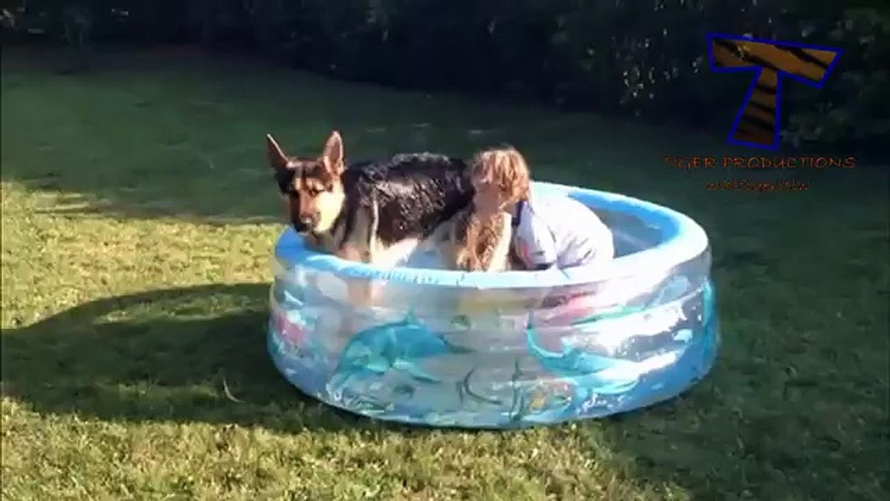 Funny babies and animals bathing together - Cute baby _ animal compilation