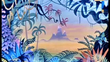 Tom and Jerry Cartoon - tom and jerry sorry safari