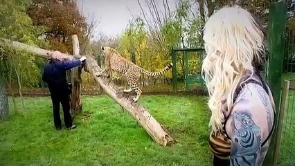 Lusy Logan for WHF Big Cat Sanctuary