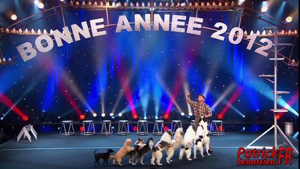 WOLFGANG LAUENBURGER - DRESSAGE CHIENS - LE PLUS GRAND CABARET DU MONDE