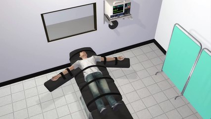 Lethal injection: an explainer