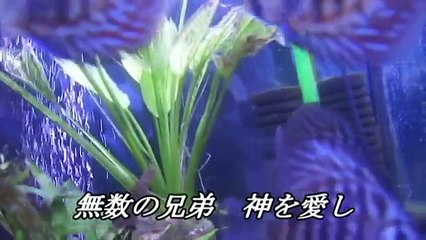 Sing To Jehovah #122) Myriads of Brothers(Japanese Lyrics)