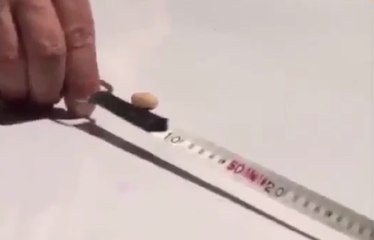 Cinq sports insolites à pratiquer cet été