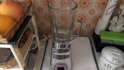 Steca (robot ménager)