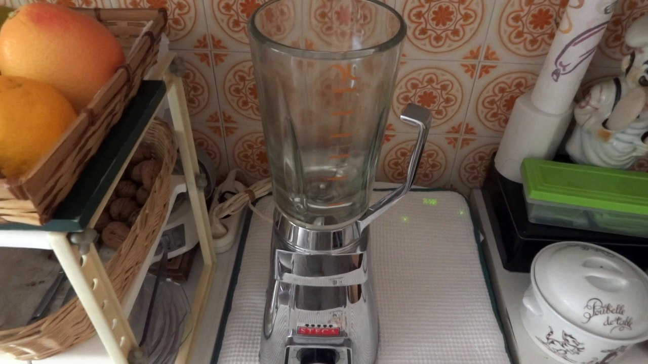 Steca (robot ménager)