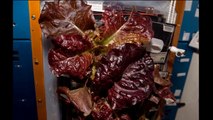 Astronauts Take First Bites of Space-Grown Lettuce