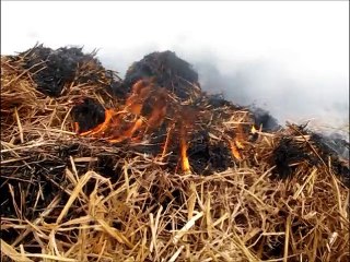 Reprise de feu dans un champ à Vendin-le-Vieil