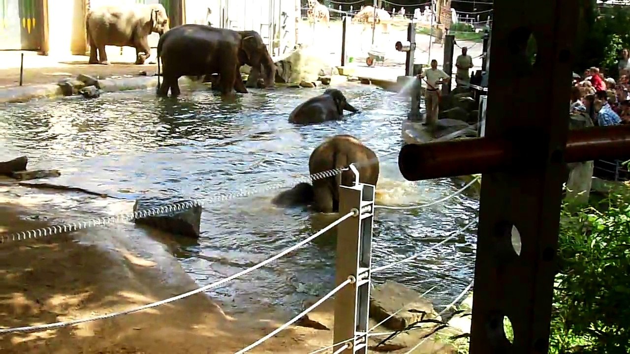 Kai Mook neemt een bad.