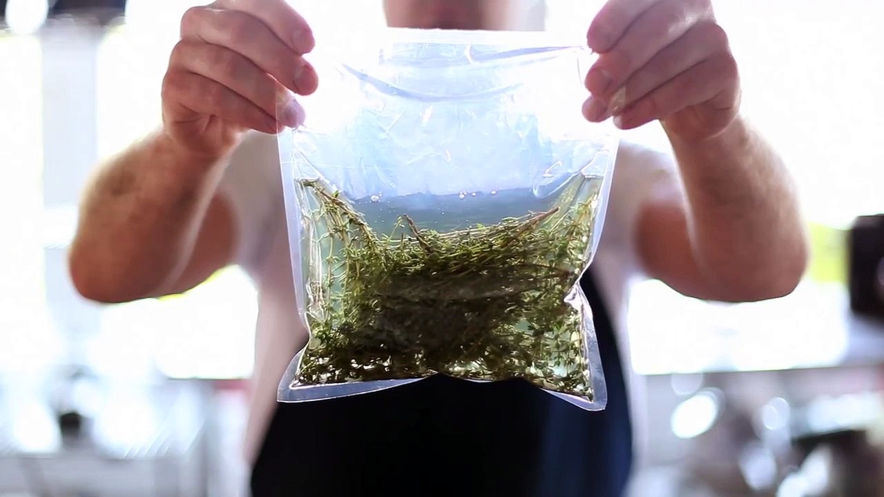 Thyme Oil