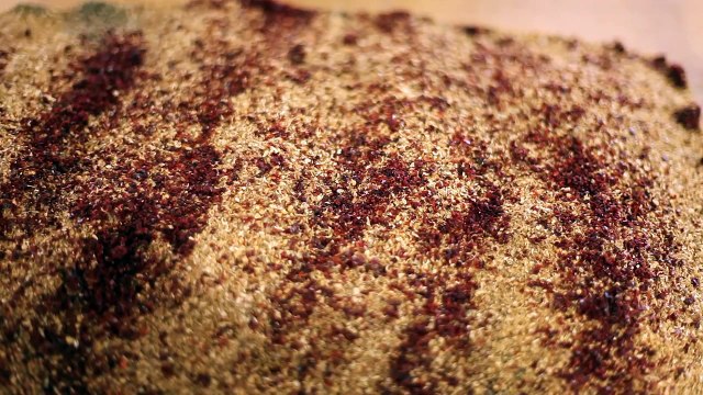 House Rub 01 • ChefSteps all-purpose coarse seasoning rub