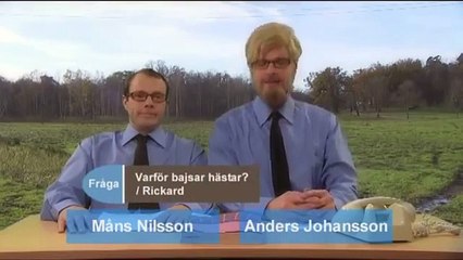 Hey Baberiba - Anders Och Måns