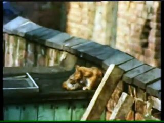 Coronation Street - Ken and Deirdre row 1983