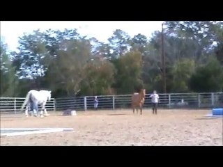 Copy of Fall Fun Show Liberty demo 2012