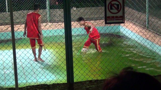 Шоу крокодилов Шарм эль Шейх