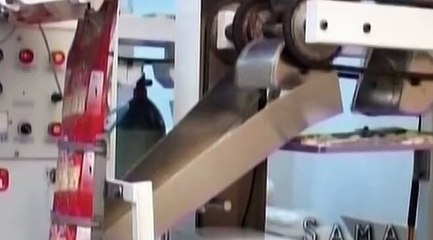 Snacks Packing Machine - 500 PT PLUS BE (SNACK FRY O) | Sama Engineering