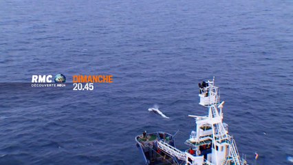 20H45 - Dimanche 16 Août - Les Justiciers des Mers S5 : silence radio