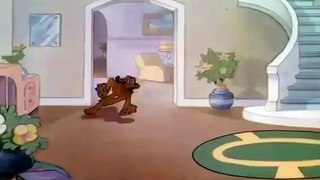 Mickey Mouse Cartoons Full Episode - Donald and Pluto