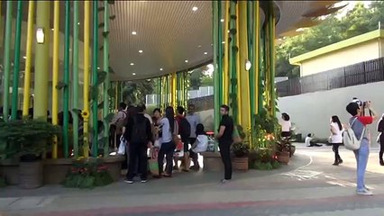 Pusat Konservasi panda mula dibuka 28 Jun ini