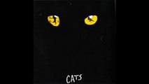Cats Japanese cast- Memory