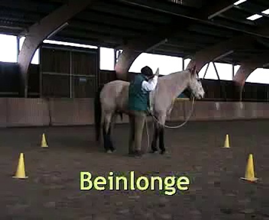 Kompliment - es klappt!!!
