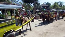 The Condition of Horse Carriages - Tiny Horses carrying tourists seen out of breath