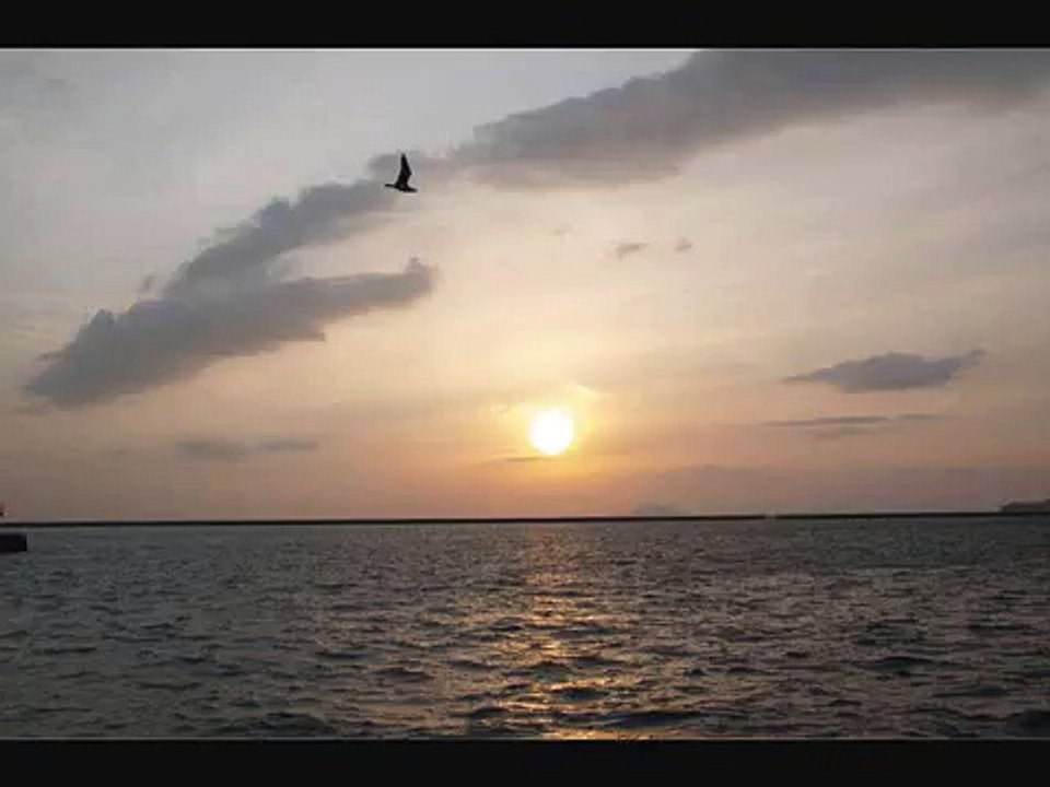 Mahler : Symphony No. 2 in C Minor, "Resurrection": I. Allegro maestoso