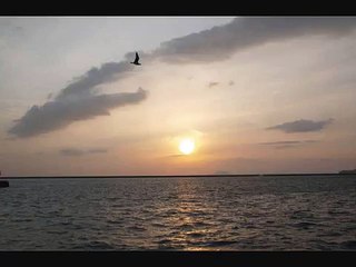 Mahler : Symphony No. 2 in C Minor, "Resurrection": I. Allegro maestoso