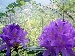 Su Akayi Çeşmeden - Hüseyin Bıçak