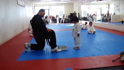 Mira cómo este pequeño taekwondoin intenta romper una tabla