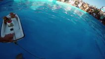 GoPro  Twiggy the Waterskiing Squirrel