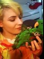 The snuggly eclectus!