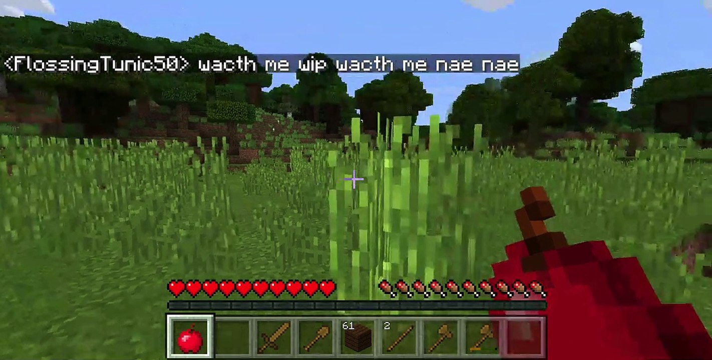 Minecraft gameplay part-2