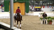 Ein Auktionspferd kehrt zurück - Training mit Klaus Balkenhol