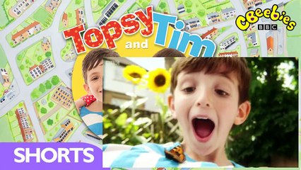 Topsy and Tim Series 2 Episode 28 Birthday Party