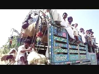 Thar desert Sindh, Pakistan