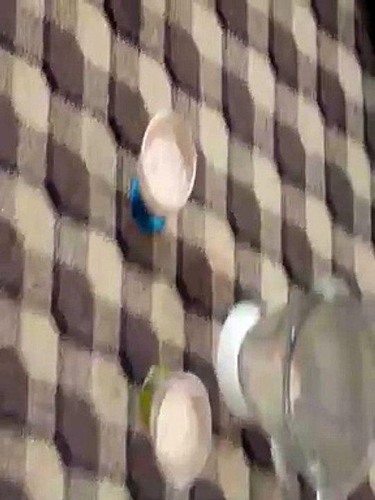 يالبيه يا المووووكى