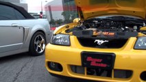 Mustang SVT Cobras Racing in HD