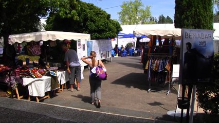 VIDEO. Festival Darc : premiers pas de danse