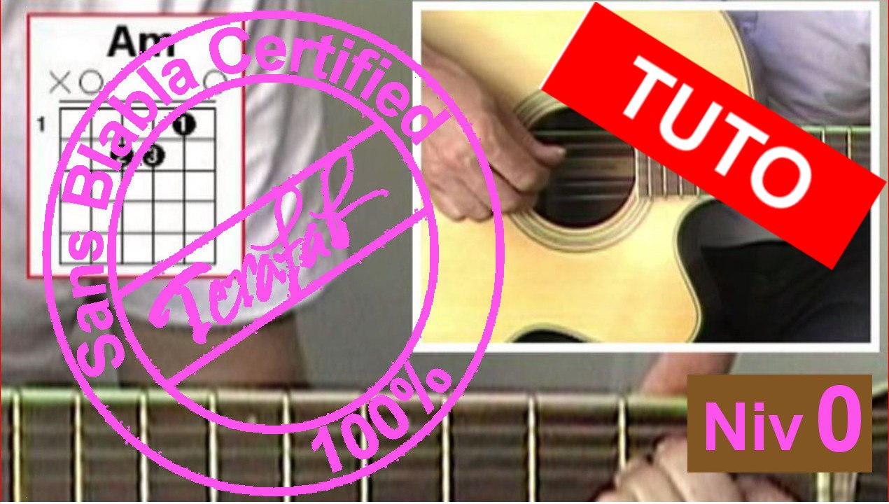 Couleur café - Serge Gainsbourg [Tuto guitare] by Terafab