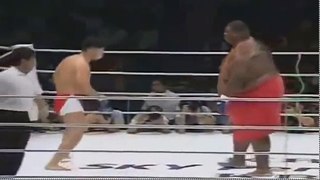 Hilarious 700 lb Sumo Wrestler vs little MMA fighter. amazing fighting