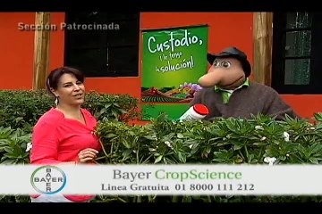 3 de agosto de 2015 AGROEXPO Sheep and Sheep Web