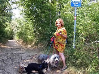 DOG BEACH NJIVICE, ISLAND KRK / CROATIA 2013